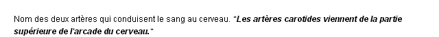 carotides dfinition